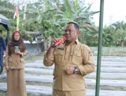 Berikan Kontribusi Positif, Pj Bupati Kampar Tanam Cabe Besar Bersama Kelompok Tani Mulya Berkah