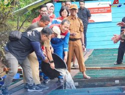 Azwan Wakili Pj Bupati Kampar Resmikan Program Keramba Apung