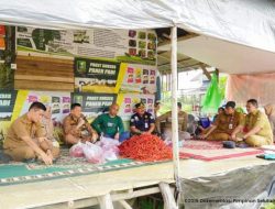 Dukung Pertanian Lokal, Pj Bupati Kampar Tinjau Kebun Cabe Masyarakat