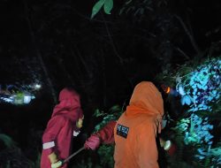 Aksi Tim Rescue Damkar dan Penyelamatan Kampar Berhasil Evakuasi Tawon Vespa di Tambang