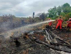 Kembali Bertambah, 9 Daerah Di Riau Tetapkan Status Siaga Karhutla