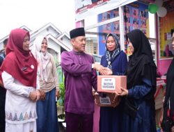 Didampingi Pj Bupati, Ketua Pembina Posyandu Kampar Serahkan Bantuan Makanan Tambahan