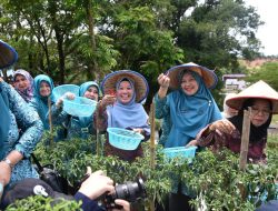 Ricana Djayanti Hambali Dampingi Ketua TP PKK Riau Zuliana Rahman Hadi Lakukan Peninjauan Kebun Cabe Stanum