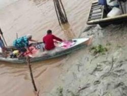 Seorang Nelayan Tewas Diterkam Buaya Saat Mencari Ikan