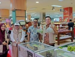 Setelah Uji Laboratorium, Pemko Pekanbaru Pastikan Anggur Muscat Aman Dikonsumsi