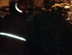 Dinas Damkar dan Penyelamatan Kampar Padamkan Api Diarea Kebakaran Lahan di Siak Hulu