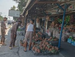 Satpol PP Tertibkan Pedagang Jualan Nanas di Atas Trotoar, Sebelumnya Juga Ditertibkan