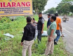 Jaga Kelestarian Lingkungan, Satpol PP Kampar Tertibkan Banner, Baliho dan Reklame Liar