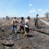Pemilik Lahan Ditangkap Polisi, Tujuh Hektare Sawit Terbakar