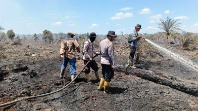 Pemilik Lahan Ditangkap Polisi, Tujuh Hektare Sawit Terbakar